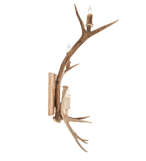 Meyda 12" Wide Antlers Elk & Mule Deer 3 Light Wall Sconce- 247843