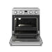 Thor Kitchen 30 Inch Contemporary Professional Electric Range (ARE30)