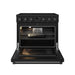 Thor Kitchen 36 inch Professional Electrical Range in Black (ARE36B)