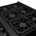 Thor Kitchen 36-Inch Liquid Propane Range in Black - Contemporary Professional - top view2