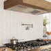 ZLINE 46 in. Ducted Wall Mount Range Hood Insert in Outdoor Approved Stainless Steel (695-304-46)