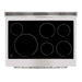 Top-down view of the Forno Paolo 36-Inch Electric Range showing the smooth ceramic glass cooktop with clearly marked heating zones and durable stainless steel trim.