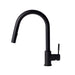 ZLINE Gemini Kitchen Faucet in Matte Black (GEM-KF-MB)