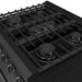 Thor Kitchen 30 Inch L-Series Professional Liquid Propane Range in Black (LRG3001UBLP)