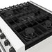 Thor Kitchen 30 Inch L-Series Professional Liquid Propane Range in White - close up of cooktop
