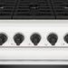 Thor Kitchen 36 Inch L-Series Professional Liquid Propane Range in White - close up of knobs