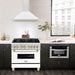 ZLINE KB4SNZ-WM36-G range hood