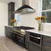ZLINE KB4SNZ-BLM48-G range hood