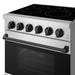 Gordon Ramsay THOR 30" 4.55 cu. ft. Professional Electric Range with Precision Knob Control RSE30P - Stainless Steel / Black - close up of color hardware