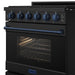 Gordon Ramsay THOR 30" Black Gas Range RSG30PB - Black / Blue - close up of front door