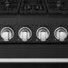 Gordon Ramsay THOR 30" Black Gas Range RSG30PB - Black / Stainless Steel - close up of color hardware