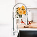ZLINE SRA-KF-BN kitchen faucet