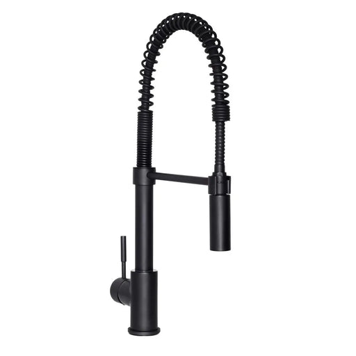 ZLINE SRA-KF-MB kitchen faucet