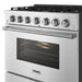 Thor Kitchen 36 Inch S Series Professional Freestanding Liquid Propane Range - oven door