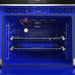 Thor Kitchen T Series 30-inch Professional Electric Double Wall Oven (TEW30ED)