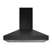 Thor Kitchen 48"Black wall mounted hood (TRH48PB)