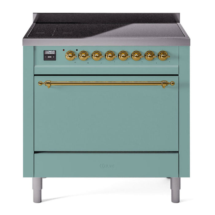 Mediterranean Mint UPI366QNMPMMG