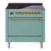 Mediterranean Mint UPI366QNMPMMG