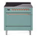 Mediterranean Mint UPI366QNMPMMP