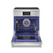 Thor Kitchen X Series 30-inch Professional Freestanding Induction Range (XRI30E)