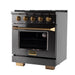 KUCHT Gemstone Professional 30-Inch 4.2 cu. ft. Range with Sealed Burners and Convection Oven in Titanium Stainless Steel