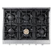 Thor Kitchen 36-Inch Gas Cooktop in Stainless Steel with 6 Burners HRT3618U