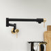 ZLINE GEM-FPF-ZMBCB kitchen faucet
