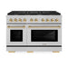 ZLINE Autograph Edition 48 in. 6.7 cu. ft. Paramount Double Oven Dual Fuel Range with 8 Burner Gas Cooktop in Satin Stainless Steel and Polished Gold Accents (SDRSZ-48-G)