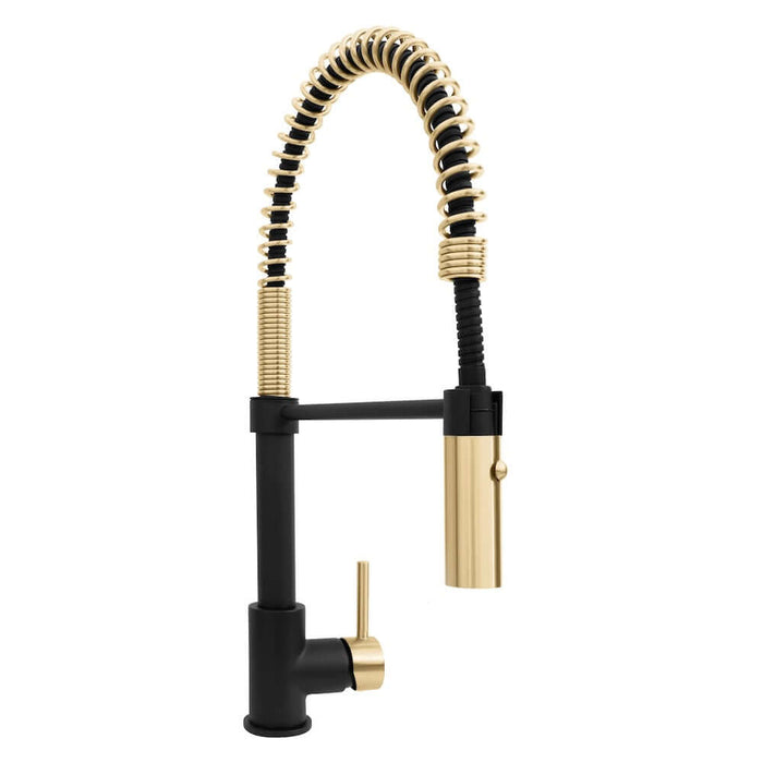 ZLINE Autograph Edition Sierra Pull Down Spring Single Handle Kitchen Faucet with Color Options (SRA-KF-Z)