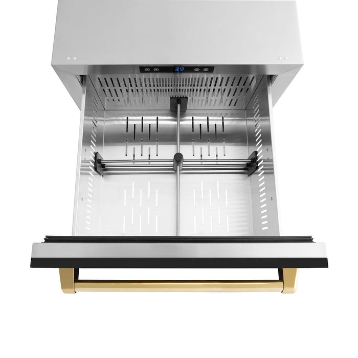 ZLINE Autograph Edition 24 in. Touchstone 168 Can Outdoor-Rated Dual Refrigerator Drawer with Black Matte Doors and Polished Gold Handles (RDSOZ-BLM-24-G)