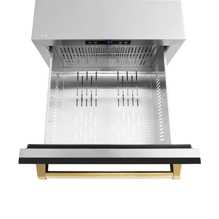 ZLINE Autograph Edition 24 in. Touchstone 168 Can Outdoor-Rated Dual Refrigerator Drawer with Black Matte Doors and Polished Gold Handles (RDSOZ-BLM-24-G)