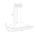 ZLINE KB4SNZ-BLM48-G range hood