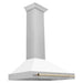 ZLINE KB4SNZ-WM36-G range hood