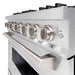 ZLINE 36 in. 5.2 cu. ft. Classic Gas Range with 6 Burner Cooktop and Convection Gas Oven in Satin Stainless Steel (CGRS-36)