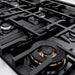 ZLINE 36 in. 5.2 cu. ft. Classic Gas Range with 6 Burner Cooktop and Convection Gas Oven in Satin Stainless Steel with White Matte Door (CGRS-WM-36)