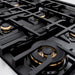 ZLINE Autograph Edition 36 in. 5.2 cu. ft. Classic Gas Range with 6 Burner Cooktop and Convection Gas Oven in Satin Stainless Steel with Black Matte Door and Polished Gold Accents (CGRSZ-BLM-36-G)