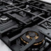 ZLINE 36 in. 5.2 cu. ft. Classic Gas Range with 6 Burner Cooktop and Convection Gas Oven in Stainless Steel with Black Matte Door (CGR-BLM-36)