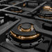 ZLINE 36 in. Classic Gas Rangetop with 6 Burner DuoPro™ Cooktop in Stainless Steel (PCRT36)