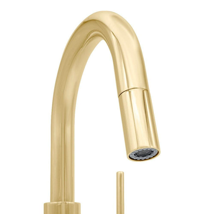 ZLINE DNT-KF-PG kitchen faucet