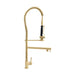 ZLINE Van Gogh Kitchen Faucet in Polished Gold (VNG-KF-PG)