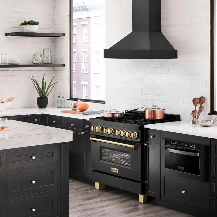 ZLINE BS655N-36 range hood