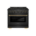 ZLINE Designer Collection 36 in. 5.2 cu. ft. Paramount Dual Fuel Range with 6 Burner DuoPro™ Cooktop and Electric Convection Oven in Black Satin Stainless Steel with Matte Black and Champagne Bronze Accents (PSDRBSZ-36-MBCB)