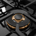 ZLINE Autograph Edition 48 in. 6.7 cu. ft. Paramount Double Oven Gas Range with 8 Burner Cooktop in Black Satin Stainless Steel and Champagne Bronze Accents (SGRBSZ-48-CB)