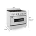 ZLINE 36 in. 4.6 cu. ft. Legacy Dual Fuel Range with Gas Cooktop and Electric Convection Oven in Satin Stainless Steel with 6 Brass Burners and Griddle (RAS-SN-BR-GR-36)