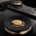 ZLINE 48 in. 6.0 cu. ft. Legacy Dual Fuel Range with Gas Cooktop and 2 Electric Ovens in Satin Stainless Steel with 6 Brass Burners and Griddle (RAS-SN-BR-GR-48)