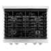 ZLINE 30 in. 4.2 cu. ft. Paramount Gas Range with 4 Burner Cooktop and Convection Gas Oven in Satin Stainless Steel (SGRS-30)