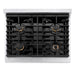 ZLINE 30 in. 4.2 cu. ft. Paramount Gas Range with Convection Gas Oven in Satin Stainless Steel with 4 Brass Burners (SGRS-BR-30)