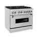 ZLINE 36 in. 4.6 cu. ft. Legacy Dual Fuel Range with Gas Cooktop and Electric Convection Oven in Stainless Steel with 6 Brass Burners (RA-BR-36)