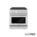 ZLINE 30 in. 4.2 cu. ft. Paramount Dual Fuel Range with 4 Burner DuoPro™ Cooktop and Electric Convection Oven in Stainless Steel (PSDR30)