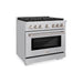 ZLINE Professional Stainless Steel Range SGR36